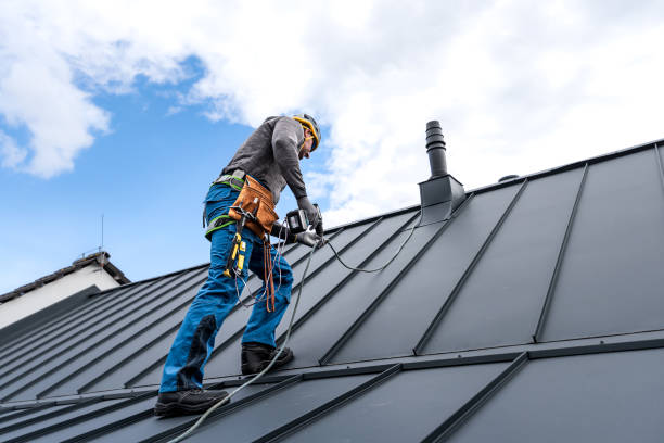 Best Solar Panel Roofing Installation  in Claremore, OK